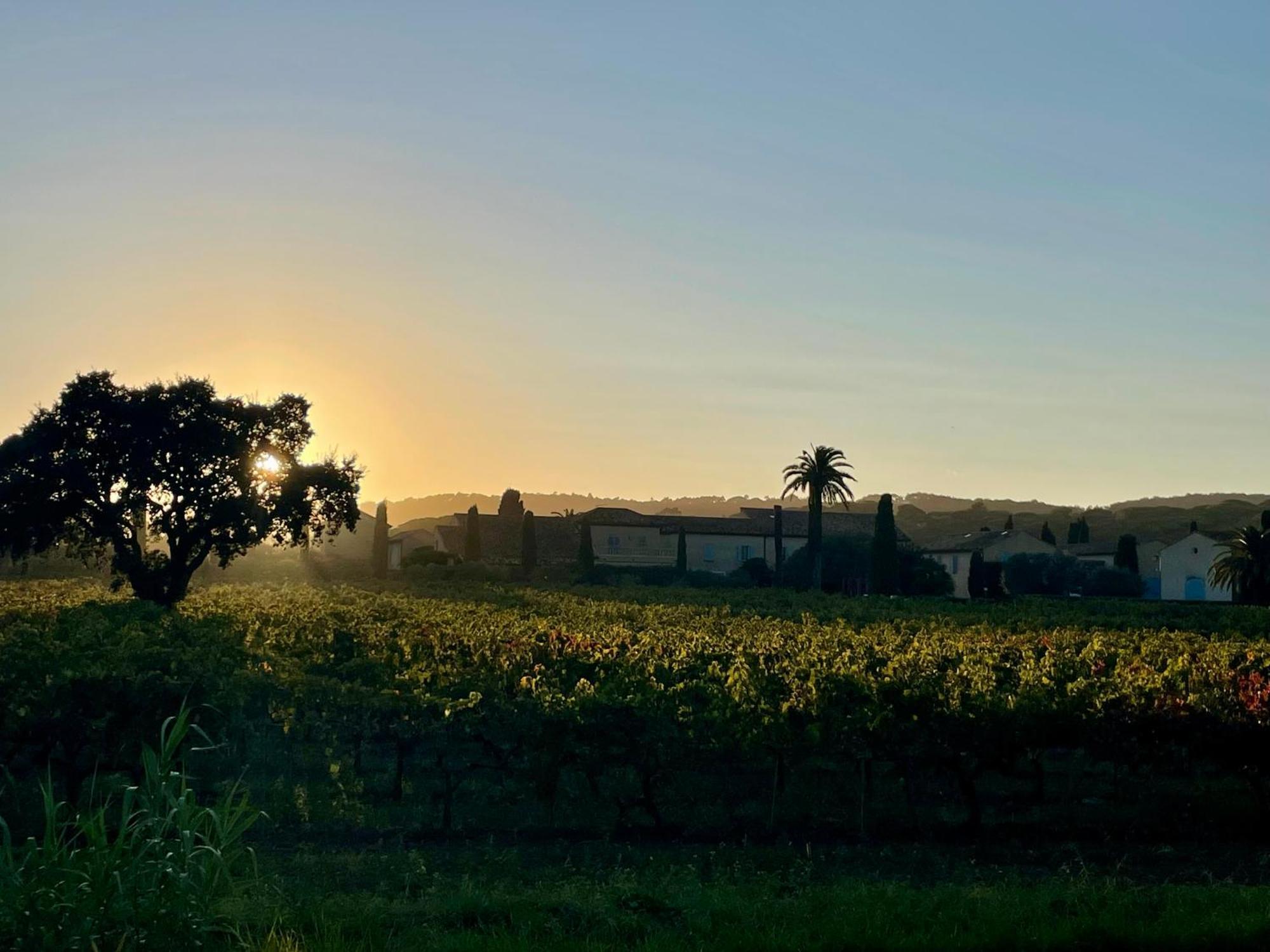 La Villa Cavalaire Buitenkant foto
