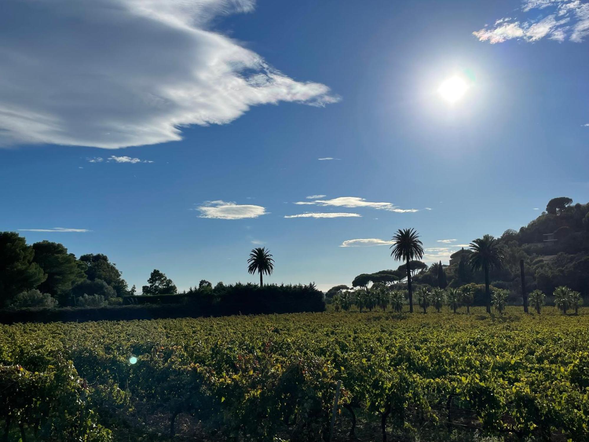 La Villa Cavalaire Buitenkant foto